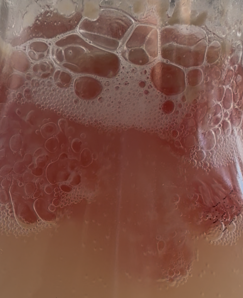 First Home Brew